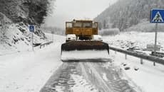 ბაკურიანი-ღადოლარის მონაკვეთზე ავტოტრანსპორტის მოძრაობა აკრძალულია