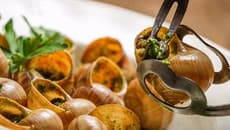 „1 ადამიანი თვეში 150-200 კილოგრამს აგროვებს“ - რა ღირს ქართული ლოკოკინა