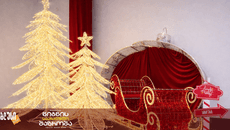 წლის ბოლო ლიტერატურული დღესასწაული - 20-21 დეკემბერს, ექსპო ჯორჯიას მე-4 და მე-5 პავილიონებში თბილისის წიგნის საახალწლო ბაზრობა გელოდებათ