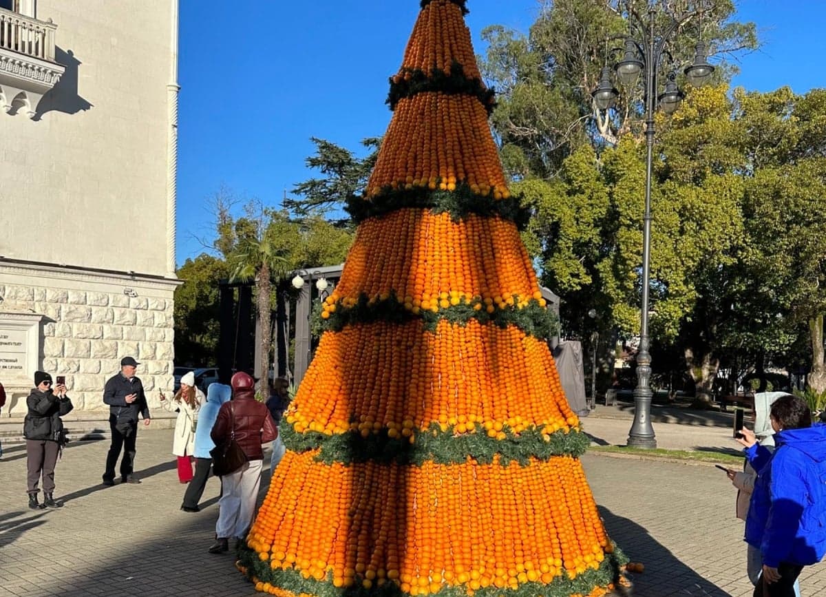 5-მეტრიანი მანდარინის ნაძვის ხე და 54-მეტრიანი ტორტი - აფხაზებმა მანდარინის ფესტივალი აღნიშნეს