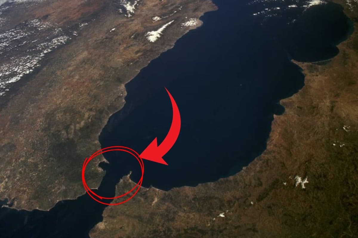 გიბრალტარის სრუტე გაქრება, ევროპა და აფრიკა კვლავ ერთიან კონტინენტად იქცევა - პორტუგალიელი მეცნიერები