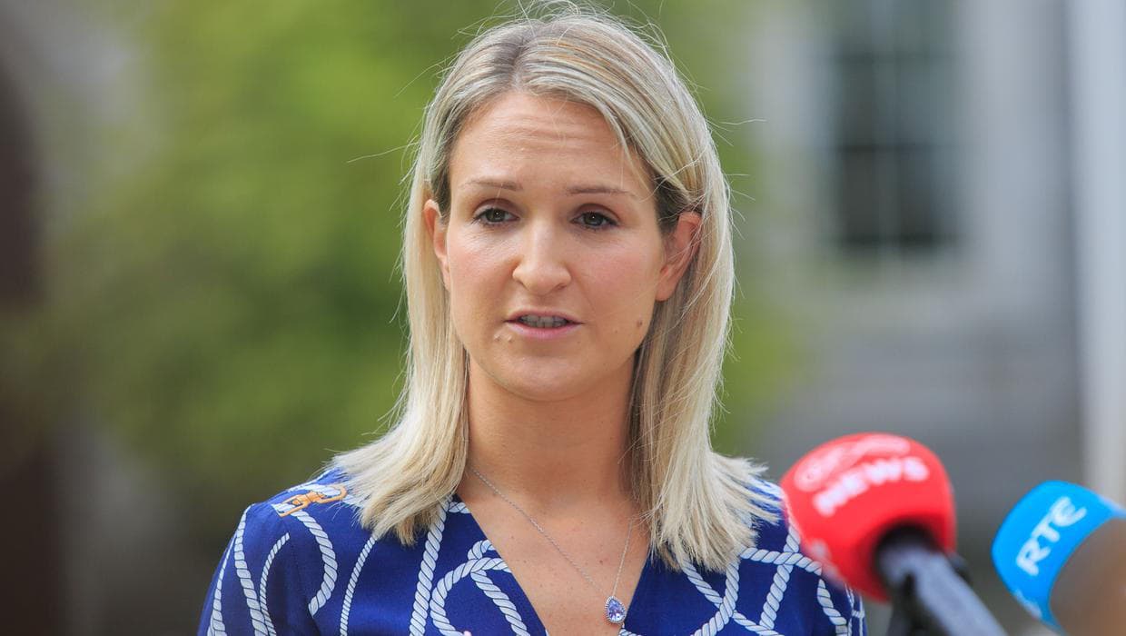 ირლანდიის საგარეო საქმეთა მინისტრი - გრენლანდიის მომავალი არის საკითხი, რომელიც დანიამ და გრენლანდიელმა ხალხმა უნდა განსაზღვროს - ეს არის პოზიცია, რომელიც არ შეიცვლება