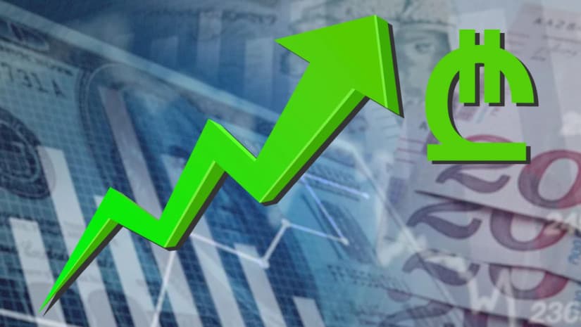 ლარი დოლართან და ევროსთან მიმართებით გამყარდა