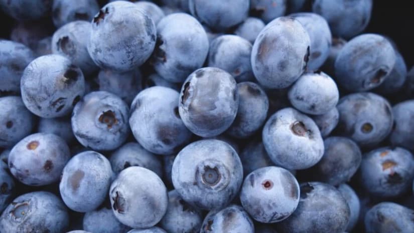 წელს, Keystone Agro კომპანიაში ახალი ტექნოლოგიების დანერგვას გეგმავს (bm.ge)