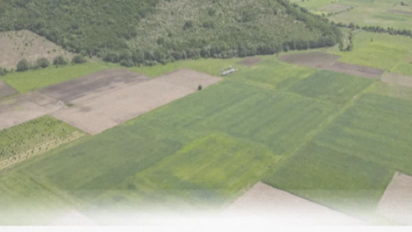 2025 წელს გამოკვლეულია 25 000 ჰა სასოფლო-სამეურნეო დანიშნულების ფართობი - სოფლის მეურნეობის სამეცნიერო-კვლევითი ცენტრი