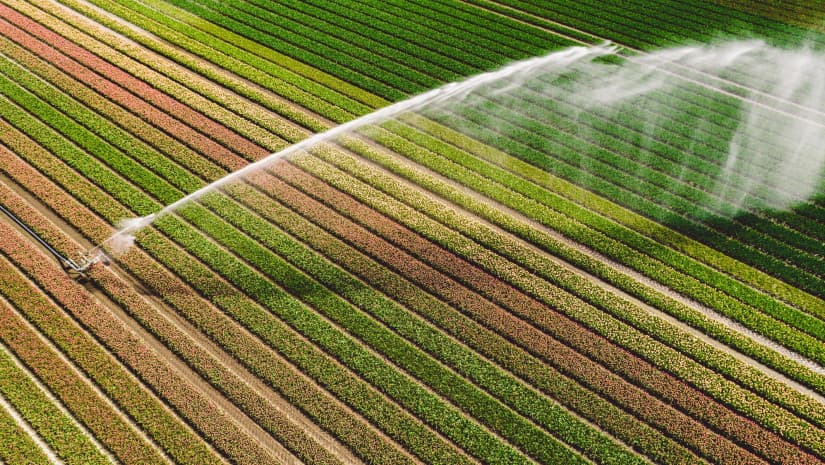 სარწყავი წყალი გაძვირდა - "მთავრობას შეუძლია ფერმერებს მიზნობრივი სუბსიდია შესთავაზოს(bm.ge)
