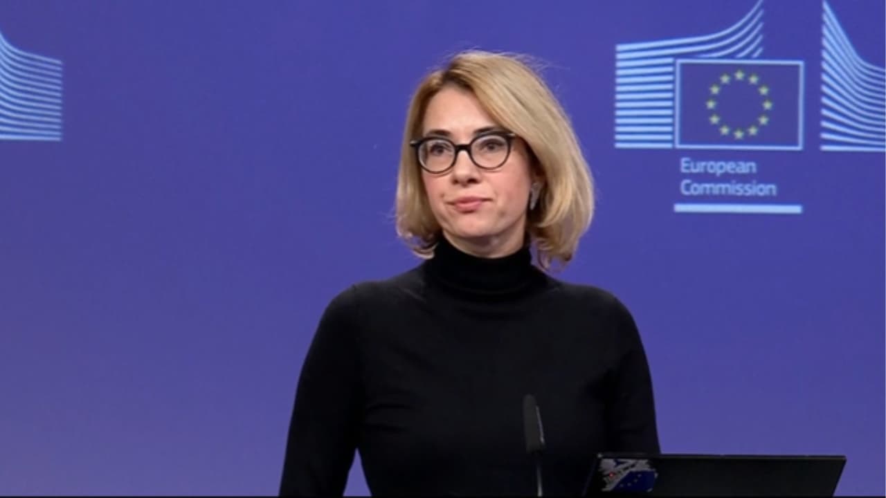 EU ელოდება სწრაფ, გამჭვირვალე და სანდო გამოძიებას – ჰიპერი BBC-ს ინფორმაციაზე