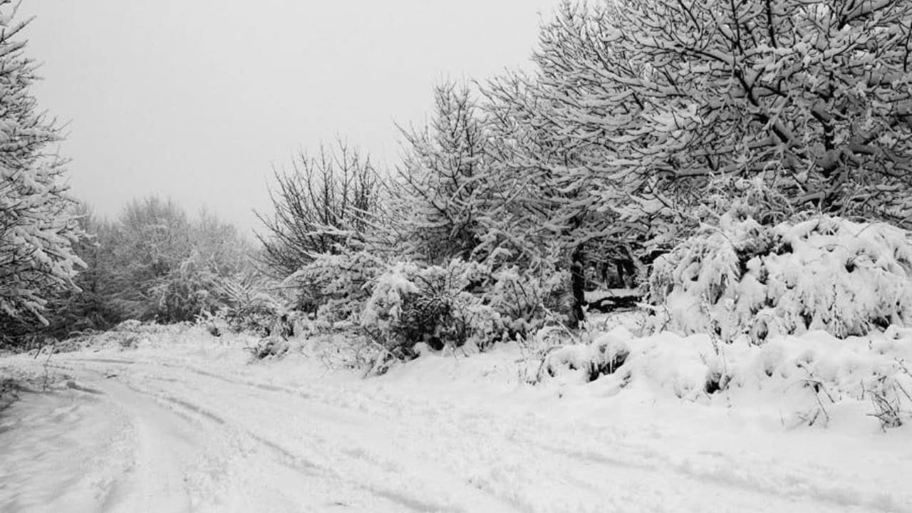რთული მეტეოროლოგიური პირობების გამო, გზებზე მოძრაობა შეზღუდულია