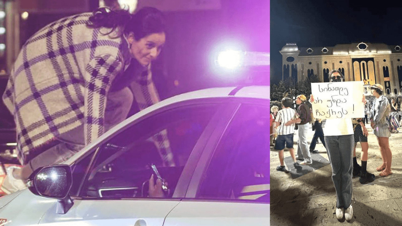 „მაინცდამაინც უნდა მაწამონ? პოლიცია არ უნდა გაგინებდეს“ — აქციაზე დაკავებული თამარ ლორთქიფანიძე