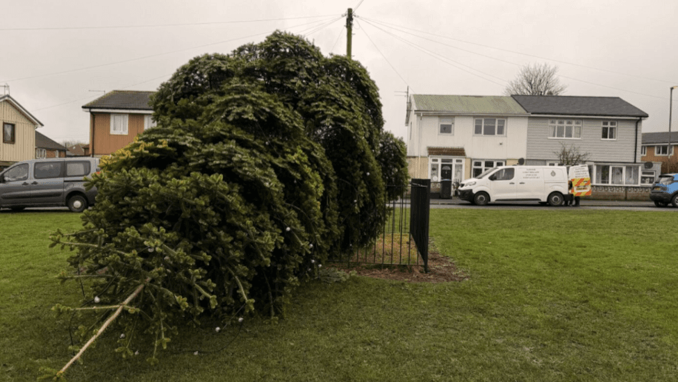 Men arrested after village Christmas tree cut down