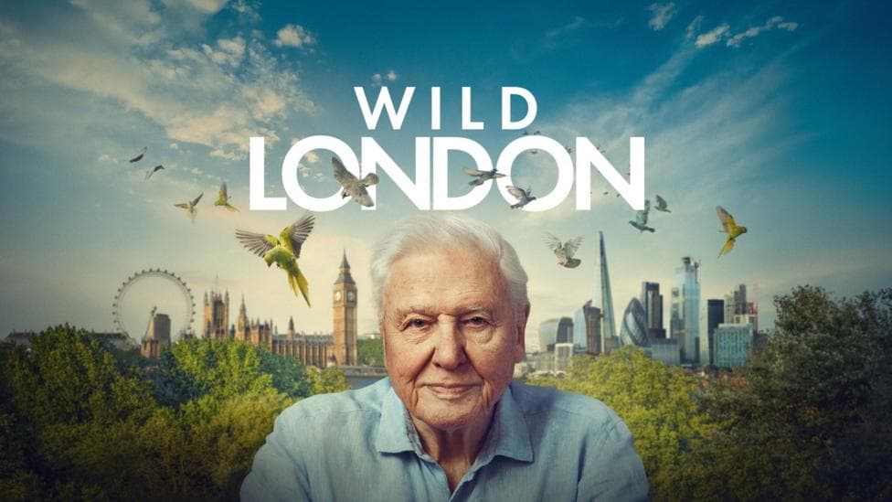 Sir David Attenborough explores the surprising wildlife of London