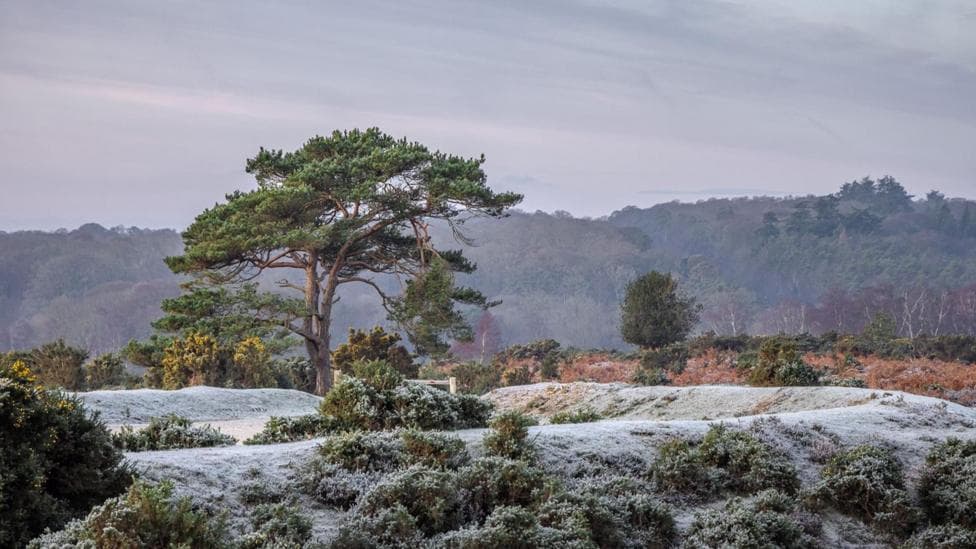 Amber snow and ice warnings issued as Arctic air spreads across the UK