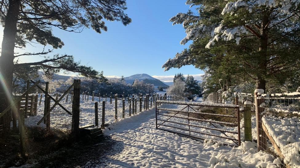 Will it be cold enough to snow this Christmas?