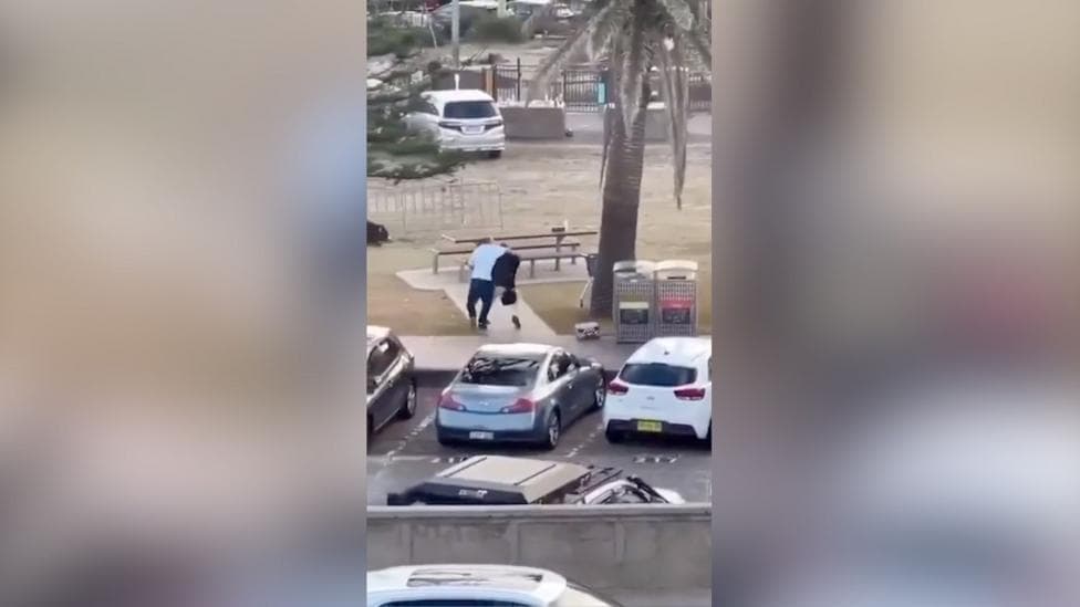 Eyewitness captures moment man tackles and disarms Bondi shooter