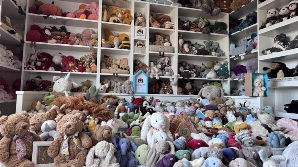 Teen secures Guinness World Records title for Jellycat toys collection