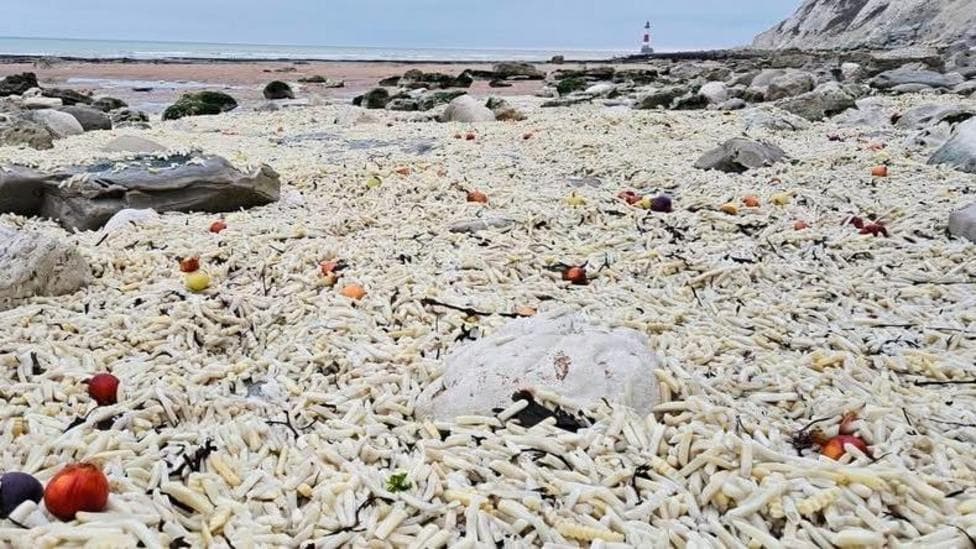 Chip wreck! Thousands of chips wash ashore on beach