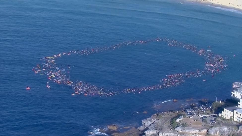 Surfers and swimmers pay tribute to victims of Bondi shooting
