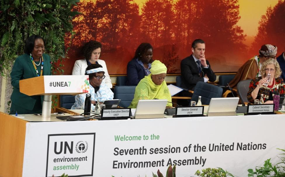 UN environment report 'hijacked' by US and others over fossil fuels, top scientist says