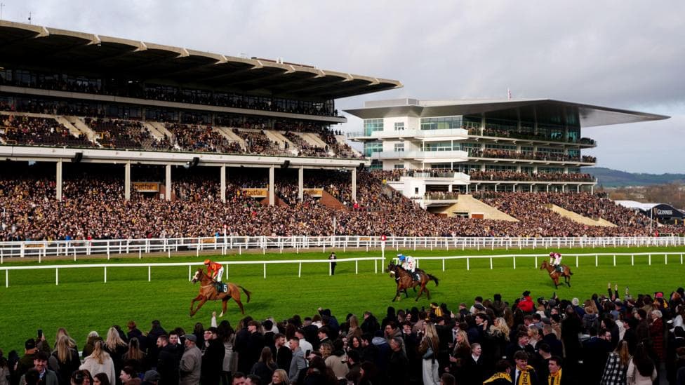 Record crowd for New Year's Day Cheltenham meeting