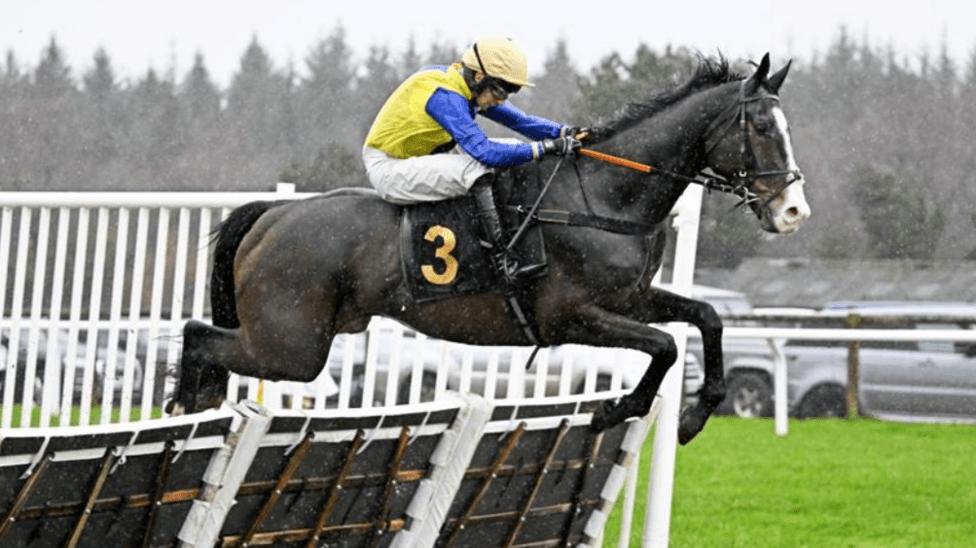 300-1 shot Blowers becomes longest-priced UK winner