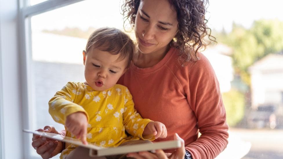 Wales to become only UK nation to lose free baby book scheme