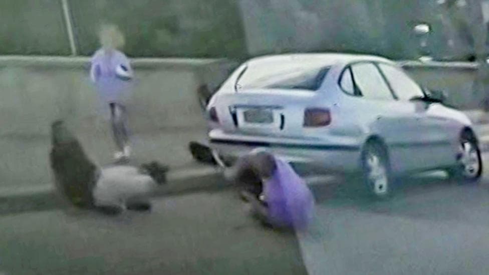 Couple tried to stop Bondi gunman before they were killed, dashcam video shows