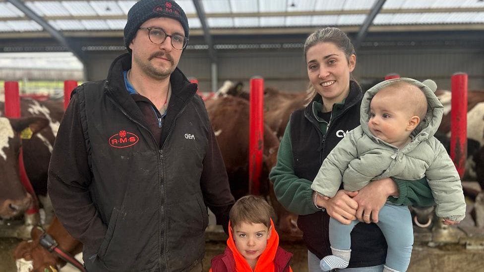 'We're in survival mode': The milk price crisis draining dairy farms