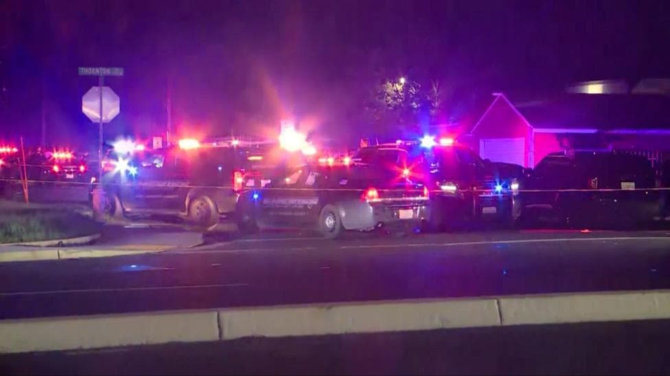 Four killed in shooting at child's birthday party in California