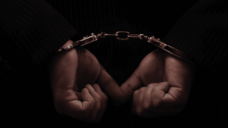 8 პირი დააკავეს სვანეთიდან ხის მასალის გაყიდვისას ბიუჯეტისთვის ზიანის მიყენების ბრალდებით